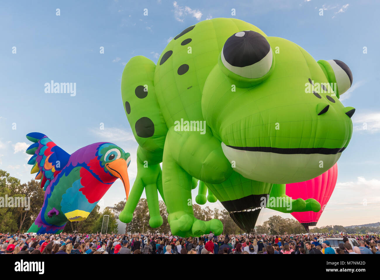 Canberra, Australia, 12th March, 2018. Hot air balloon festival in Canberra. Kermie the frog makes a grand appearance for the first time at Canberra's annual hot air balloon event. This event goes for nine days. Monday morning's lack of wind brought out many people eager to see this graceful balloons take to the sky. Sam Nerrie/ Alamy Live News Stock Photo