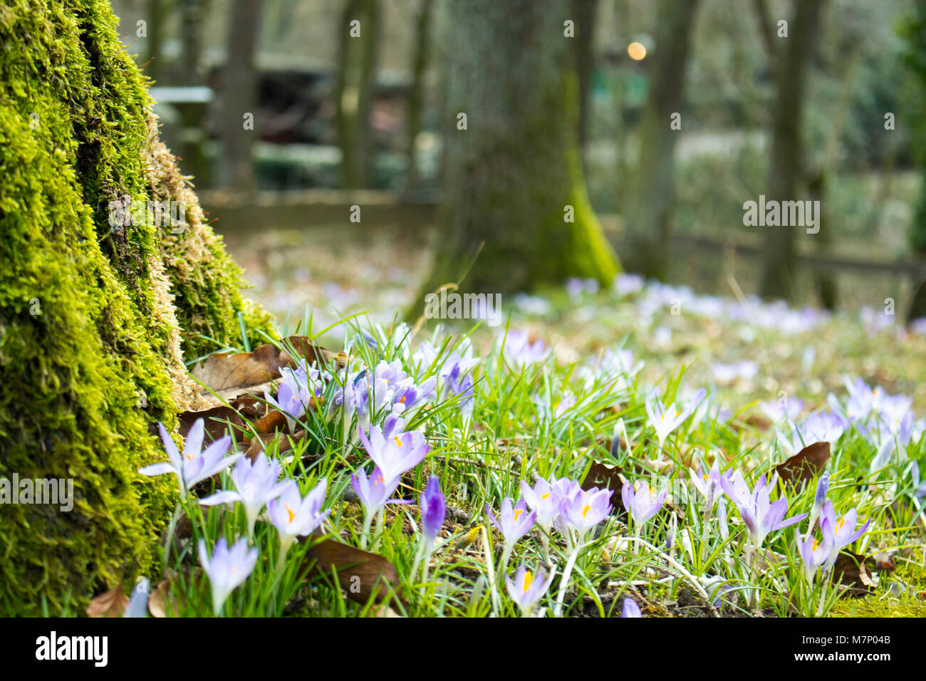 Colorful march calendar hi-res stock photography and images - Alamy
