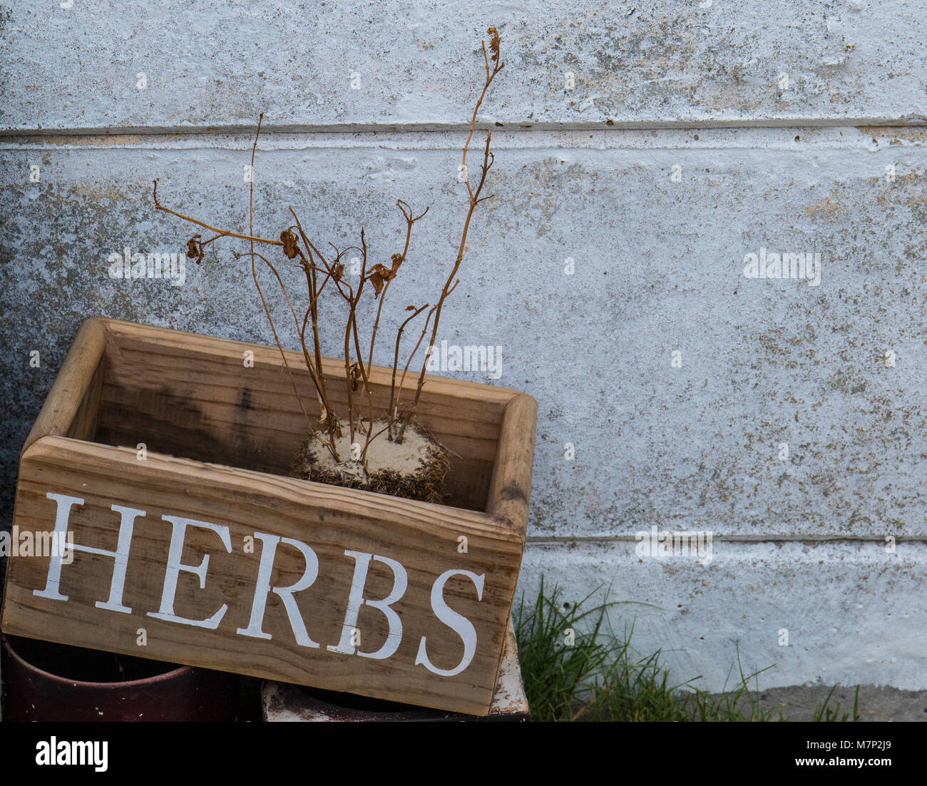 Cape Town South Africa - the water crisis in the Western Cape Province of the country has decimated gardens and plants image in landscape format Stock Photo