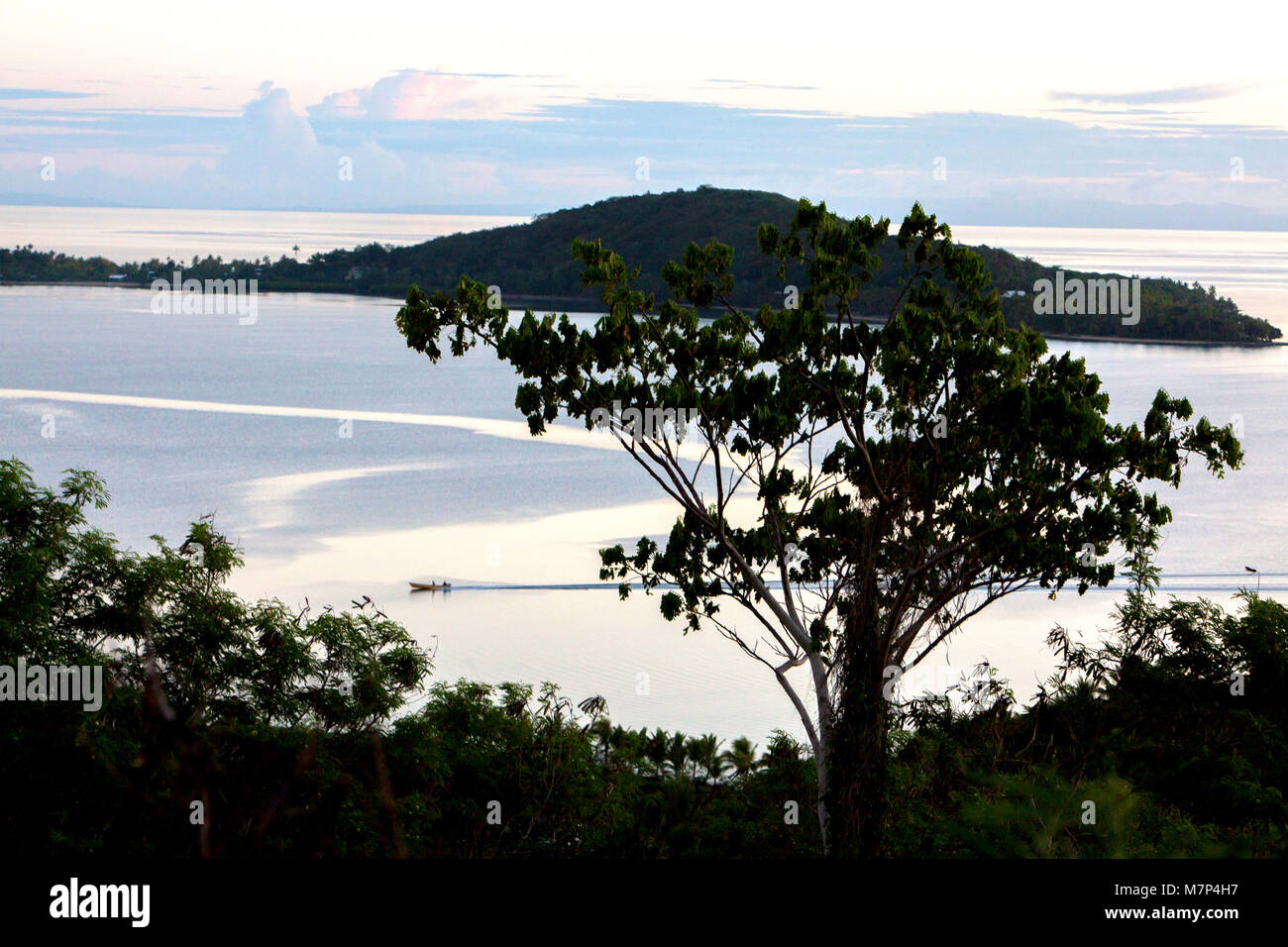 Beautiful landscape of Fiji island during high tide with tree in foreground and ocean with hill on island and small boat passing in background during, Stock Photo