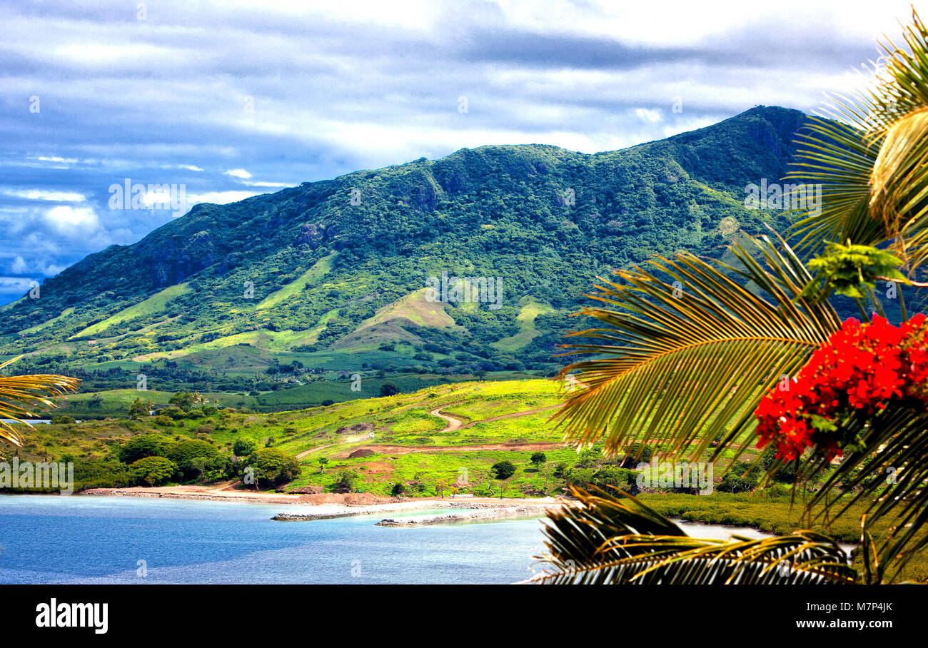 Beautiful landscape of Fiji island during low tide with red flowers and palm trees in foreground and ocean with green hills, mountain and white clouds Stock Photo