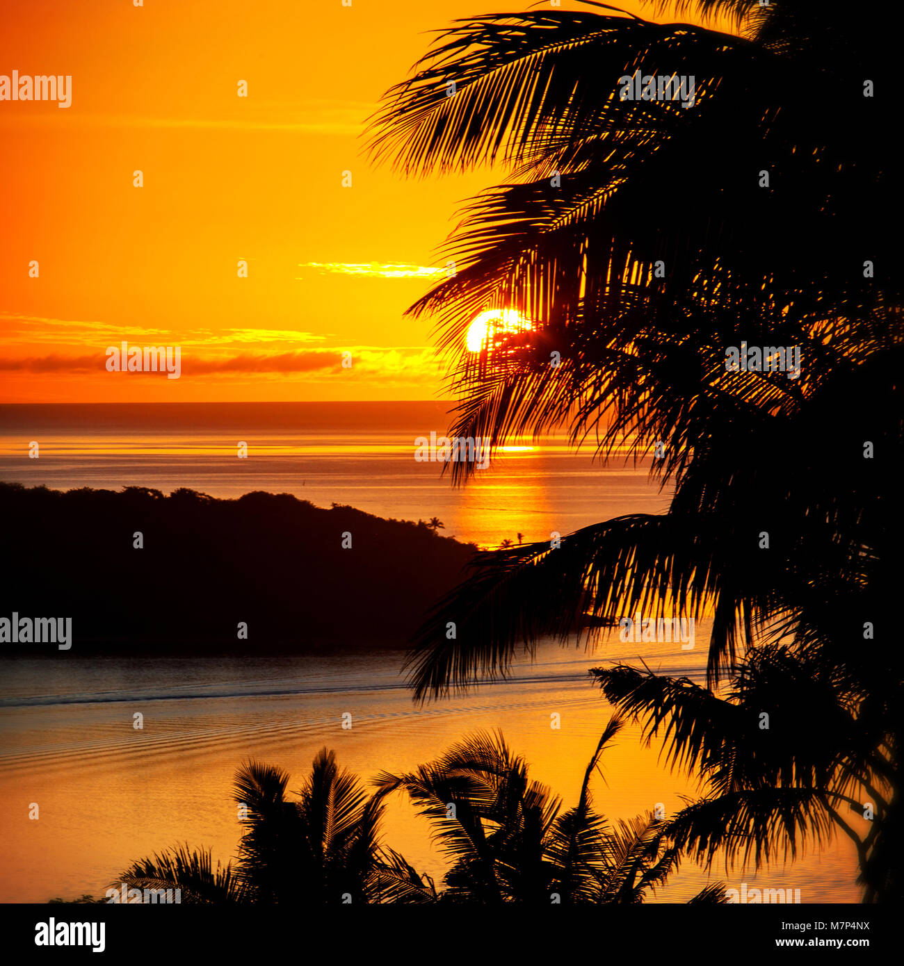 Hot warm humid hi-res stock photography and images - Alamy