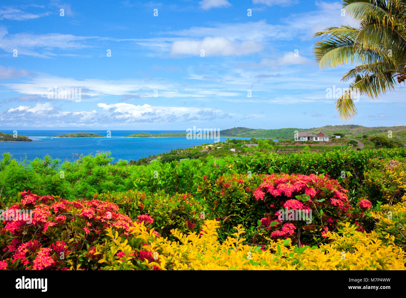 Fiji flowers hires stock photography and images Alamy