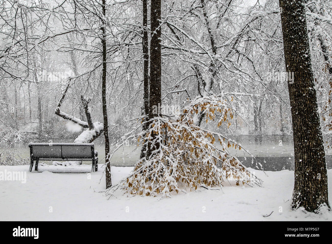 Snow Covered Park In New Jersey A Beautiful Park Bench And A Nice