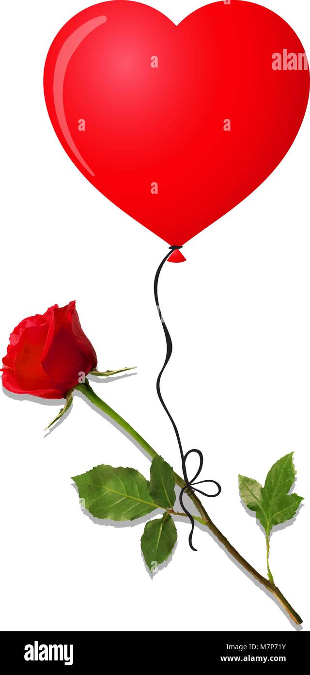 Flower of red rose flying on red heart shaped helium balloon isolated on white background. Beautiful bud of red rose on long stem. Vector illustration Stock Vector