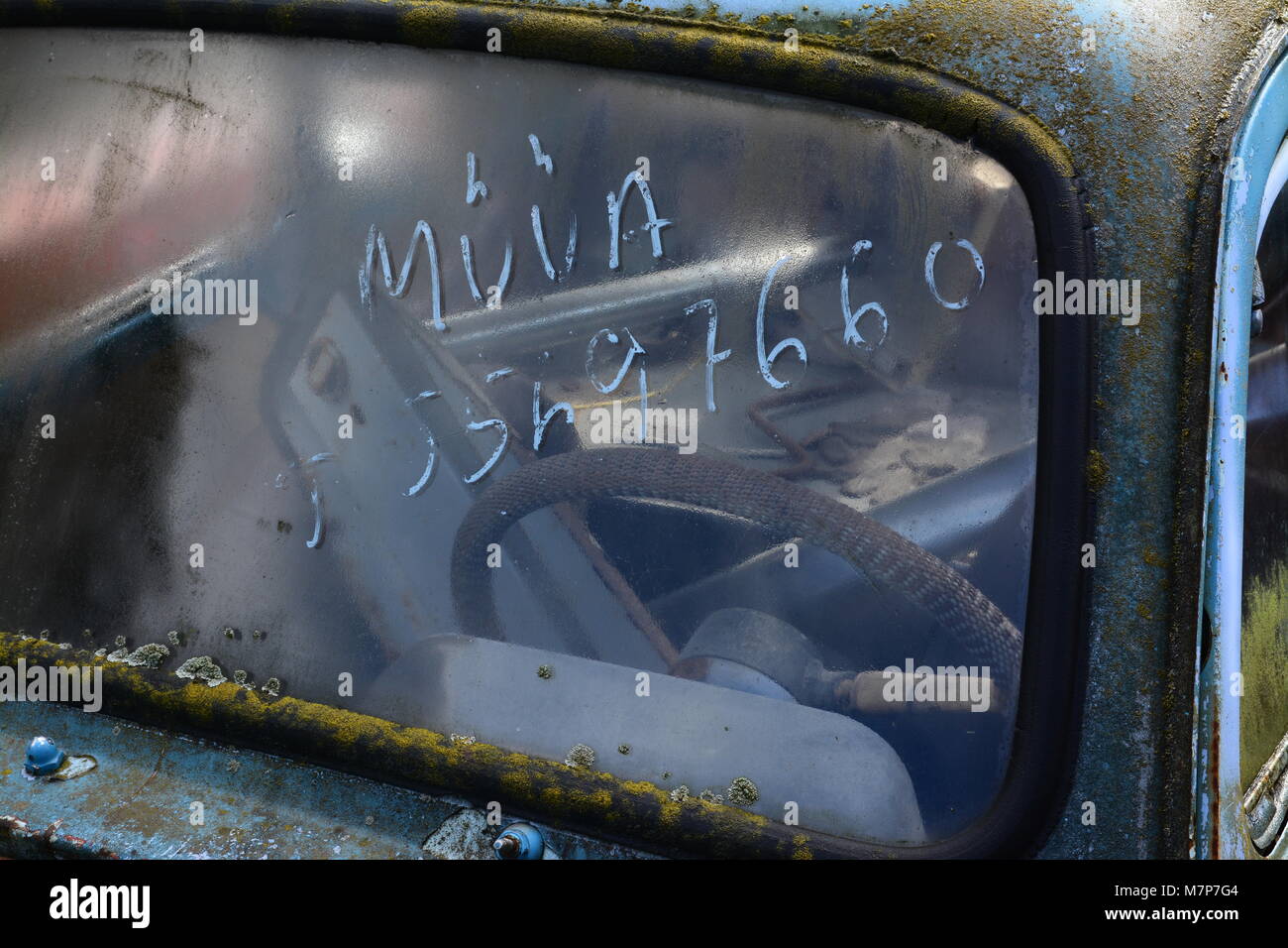Old light blue soviet car covered in moss in a collectors sale yard Stock Photo