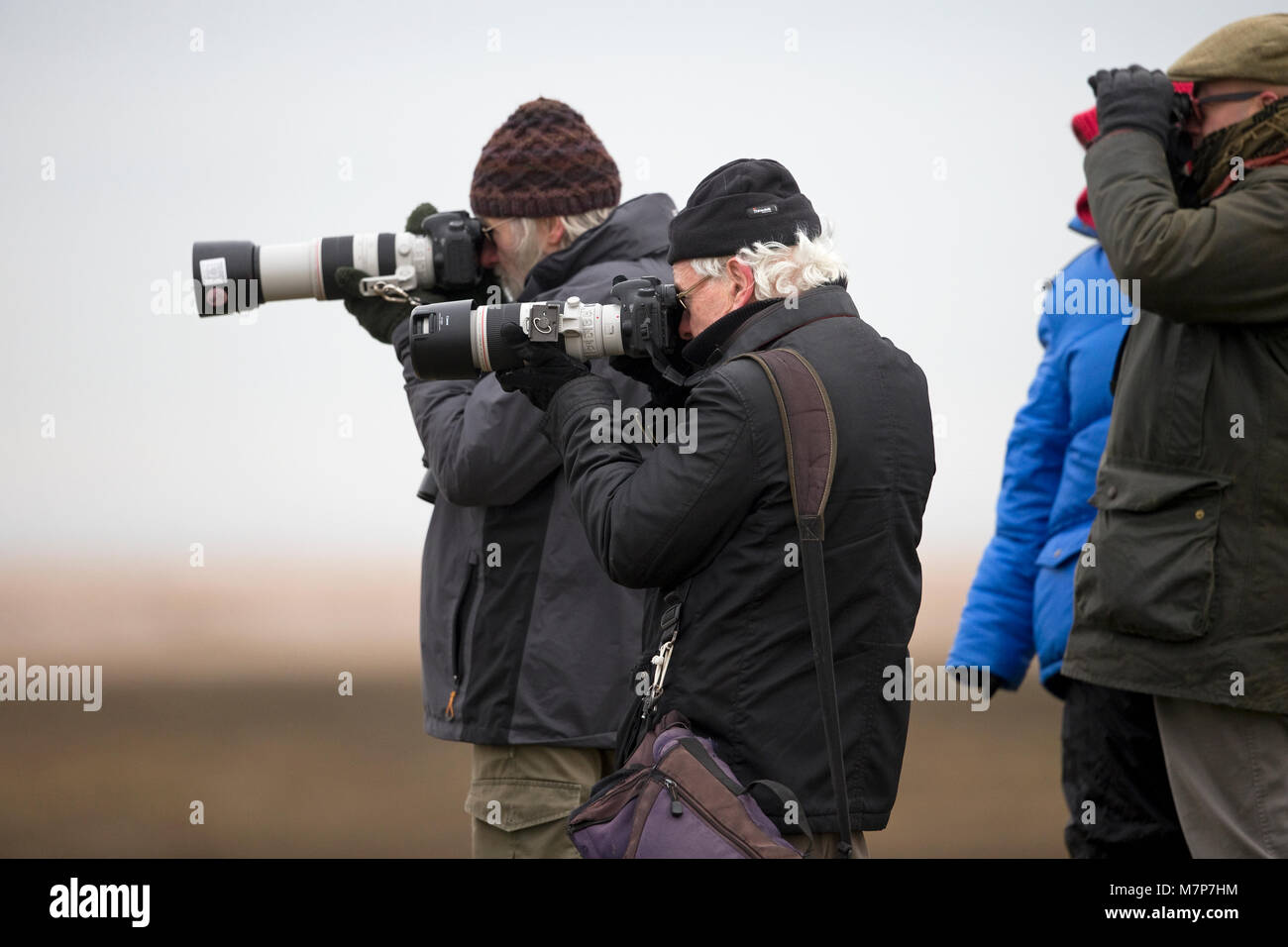 Photographer wildlife hi-res stock photography and images - Alamy