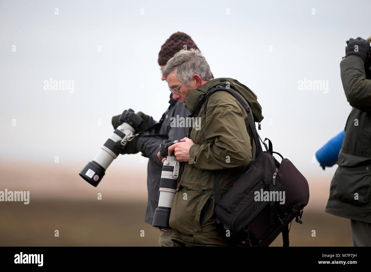 Wildlife photographer england hi-res stock photography and images - Alamy