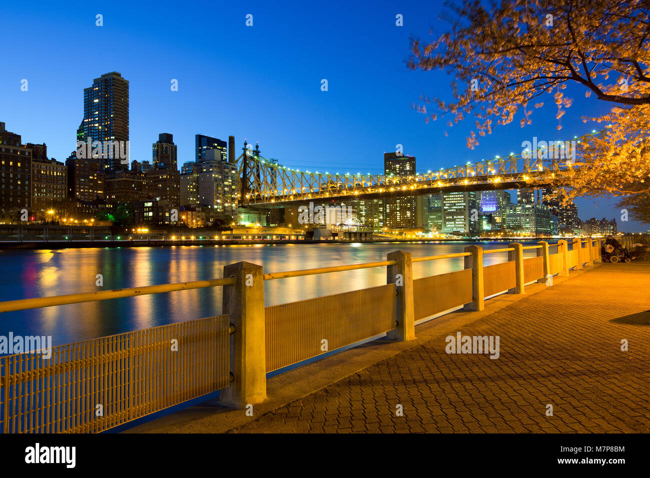 The shore of Roosevelt Island and Queensboro Bridge, Manhattan, New York City, USA Stock Photo