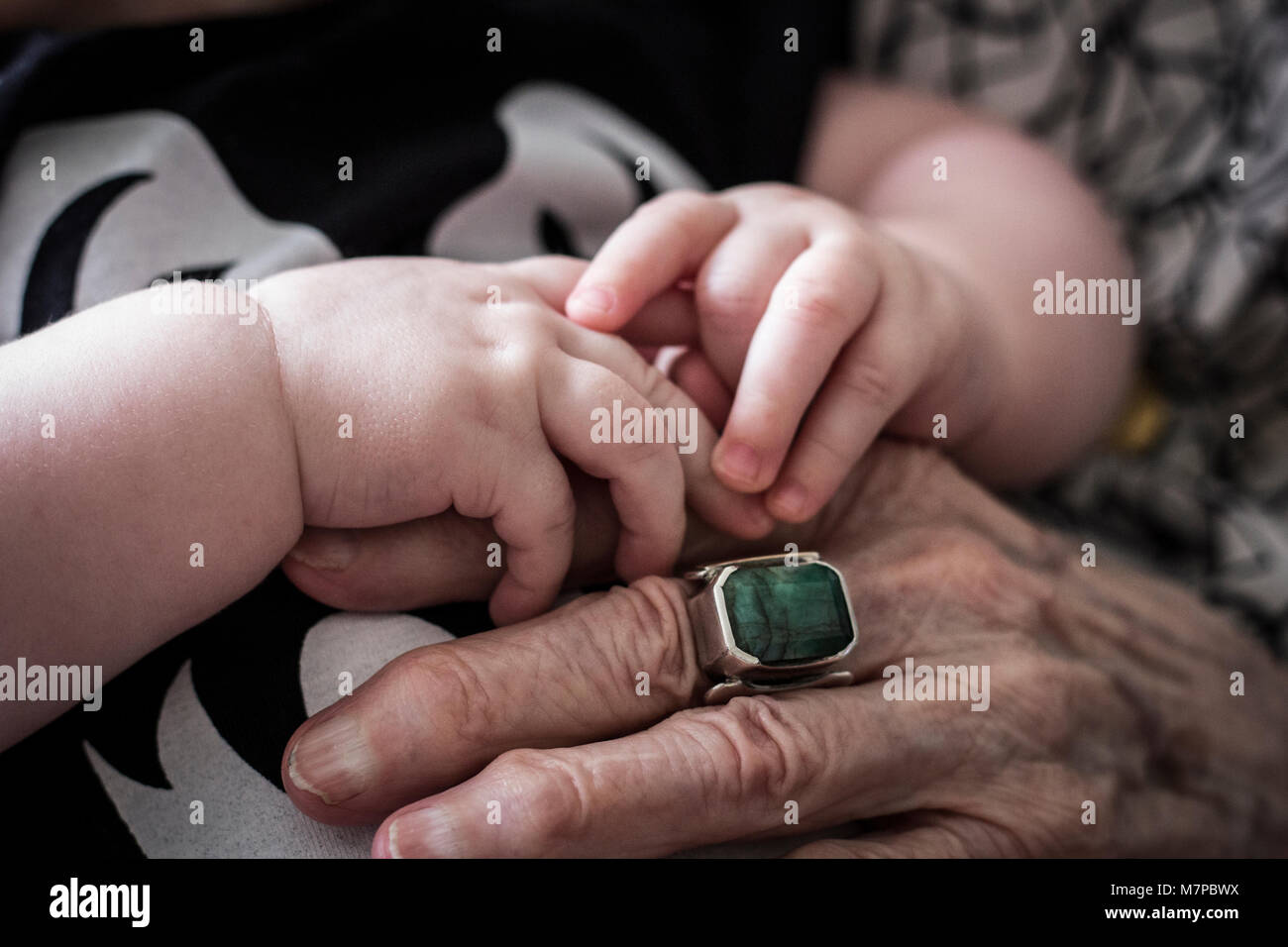 Baby and Grandmother's Hands, great grandmother, great grandchildren Stock Photo