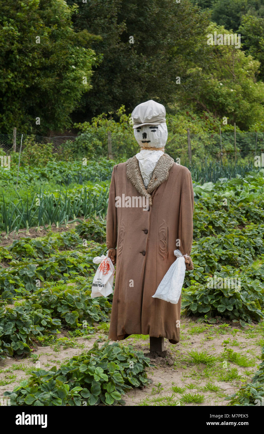 Scarecrow protects the cultivator's cultivation, Denmark. Stock Photo