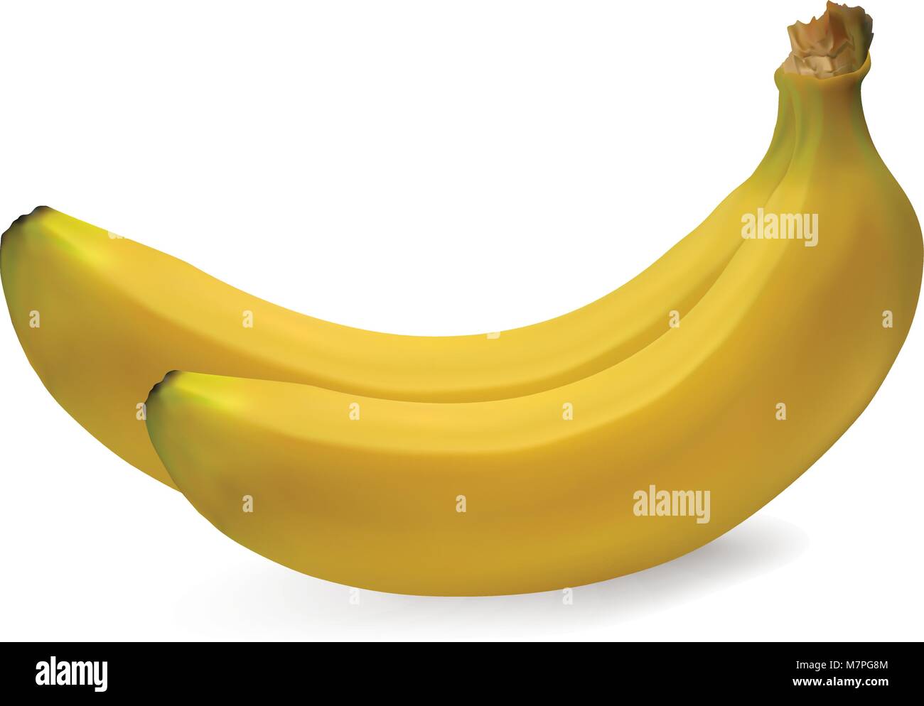 3D illustration banana isolated on white background, ripe juicy fruit Stock Vector