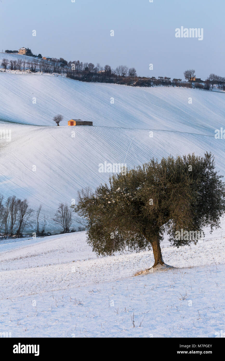 Snowy coutryside Coutryside of Macerata district, Marches, Italy Stock Photo