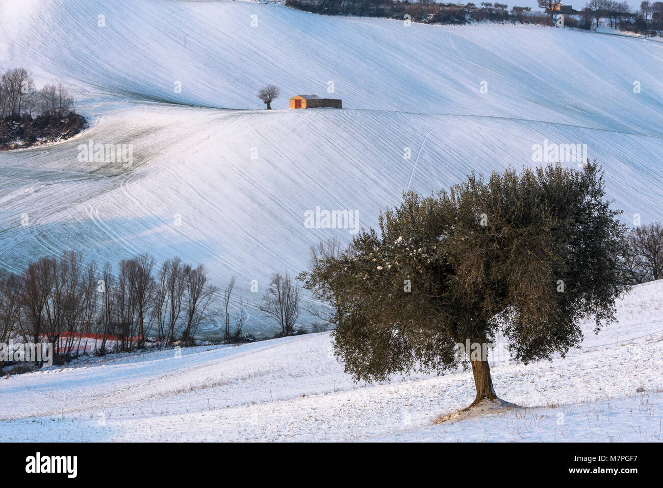 Snowy Coutryside of Macerata district, Marches, Italy Stock Photo