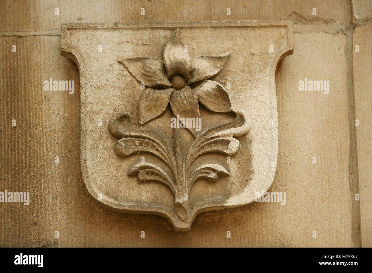 Shield crest wall hi-res stock photography and images - Alamy
