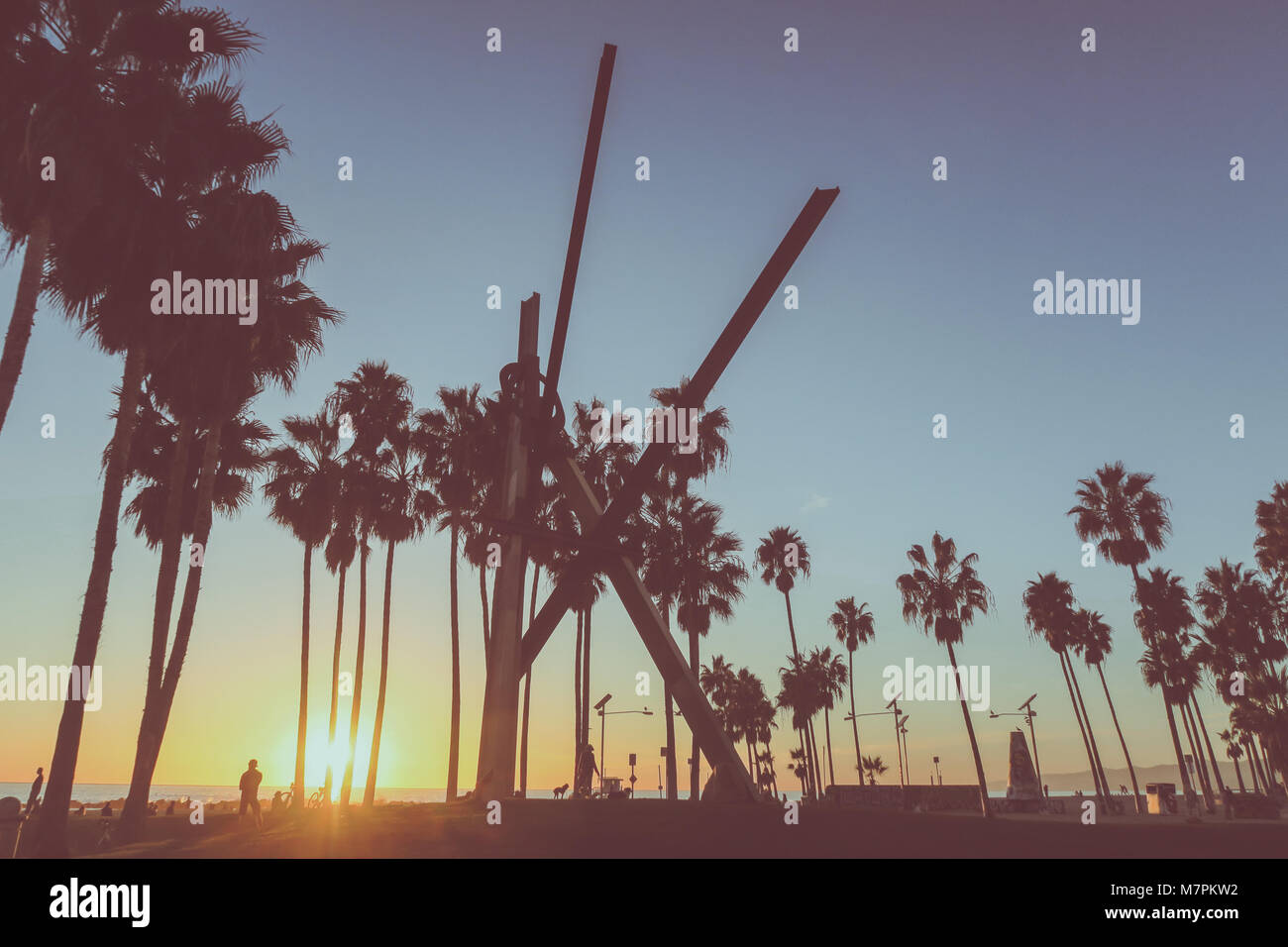 Venice Beach Sunset, Los Angeles - Palm Tree Silhouette Stock Photo - Alamy