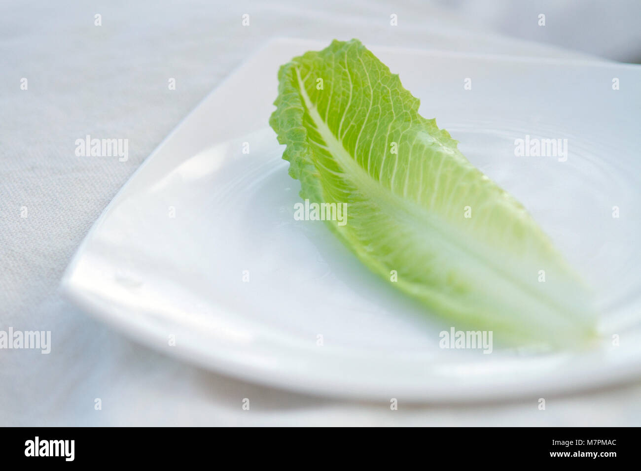 Lettuce leaf hires stock photography and images Alamy