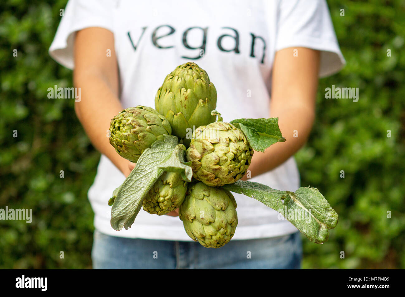 Vegan artichokes on hands ov vegan person, Stock Photo