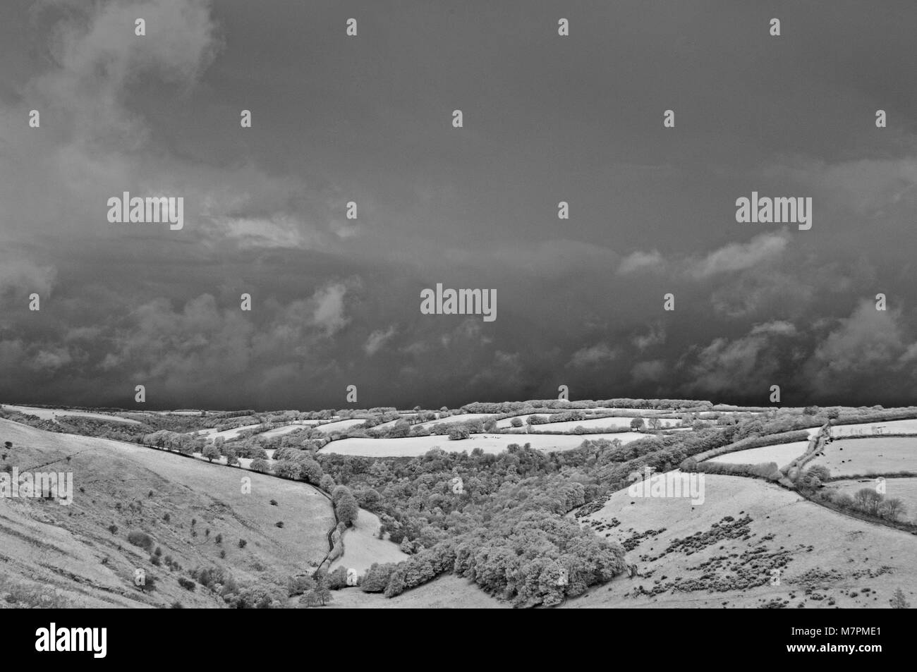 The somerset moors Black and White Stock Photos & Images - Alamy