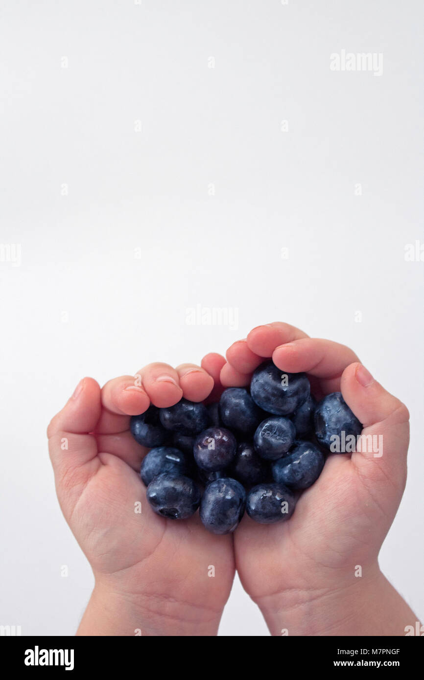 Child Holding Blueberries with Open Hands Stock Photo