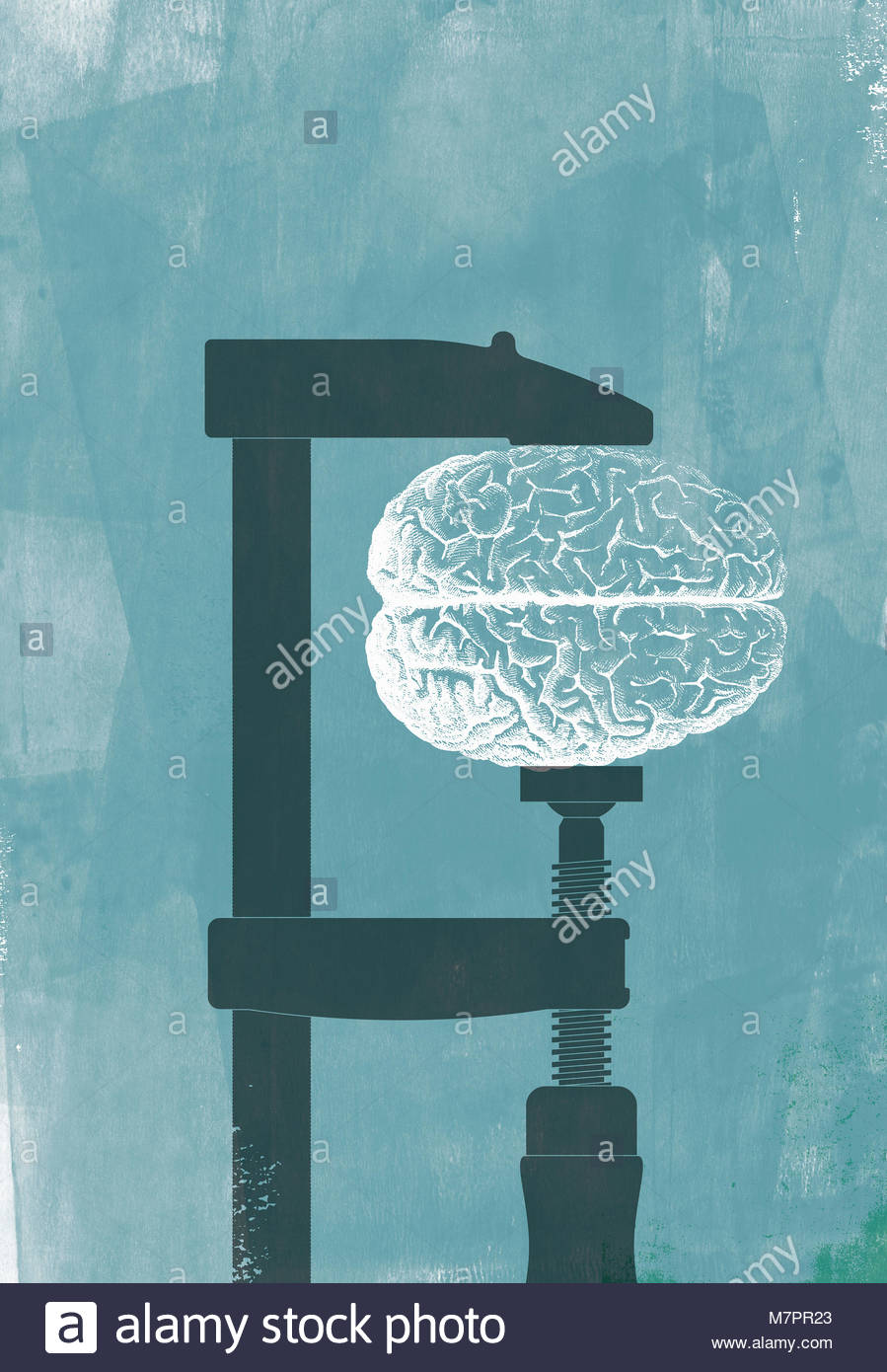 Vice Grip Stock Photos Vice Grip Stock Images Alamy