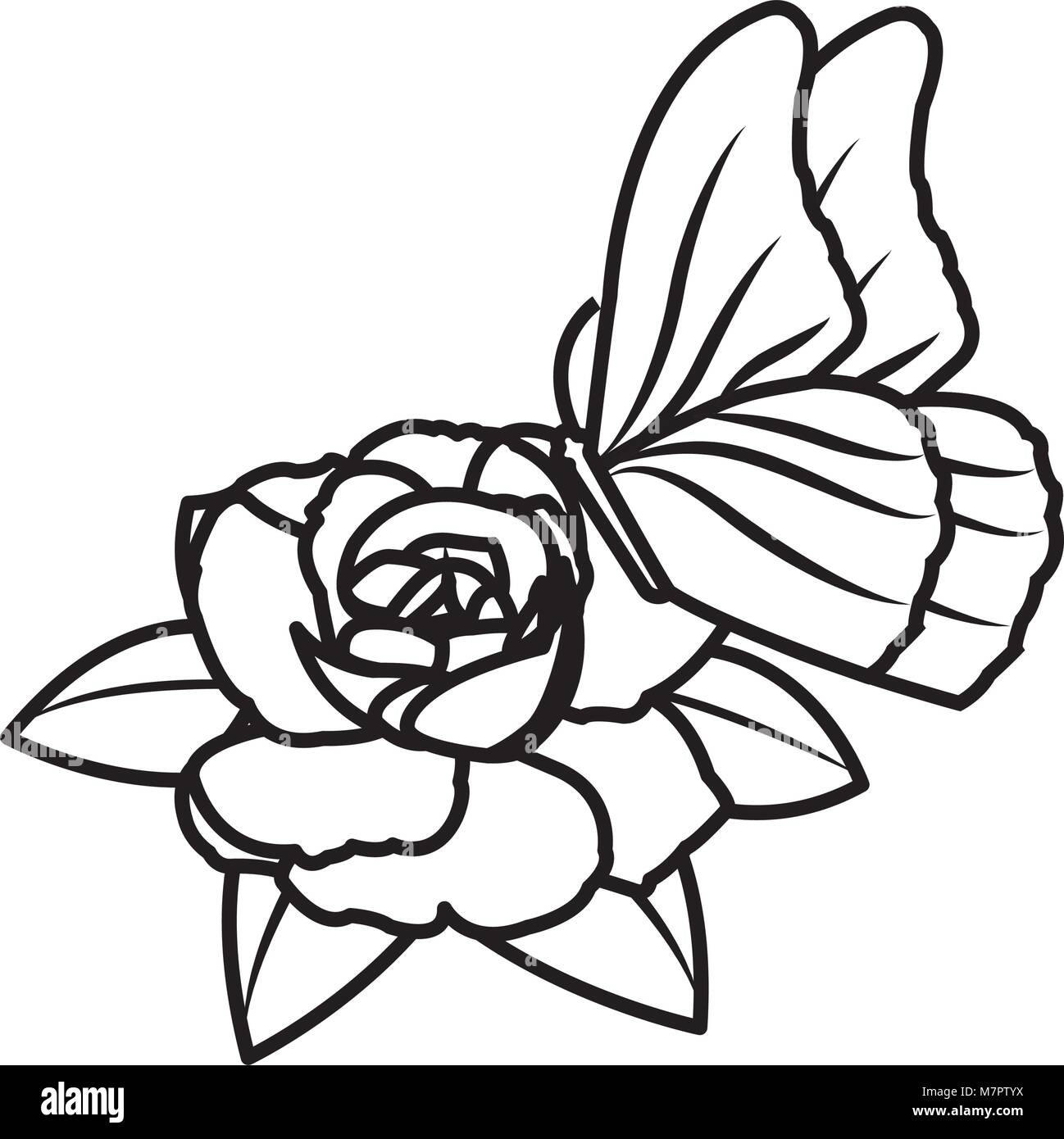 line beautiful rose petals with leaves and butterfly Stock Vector Image ...