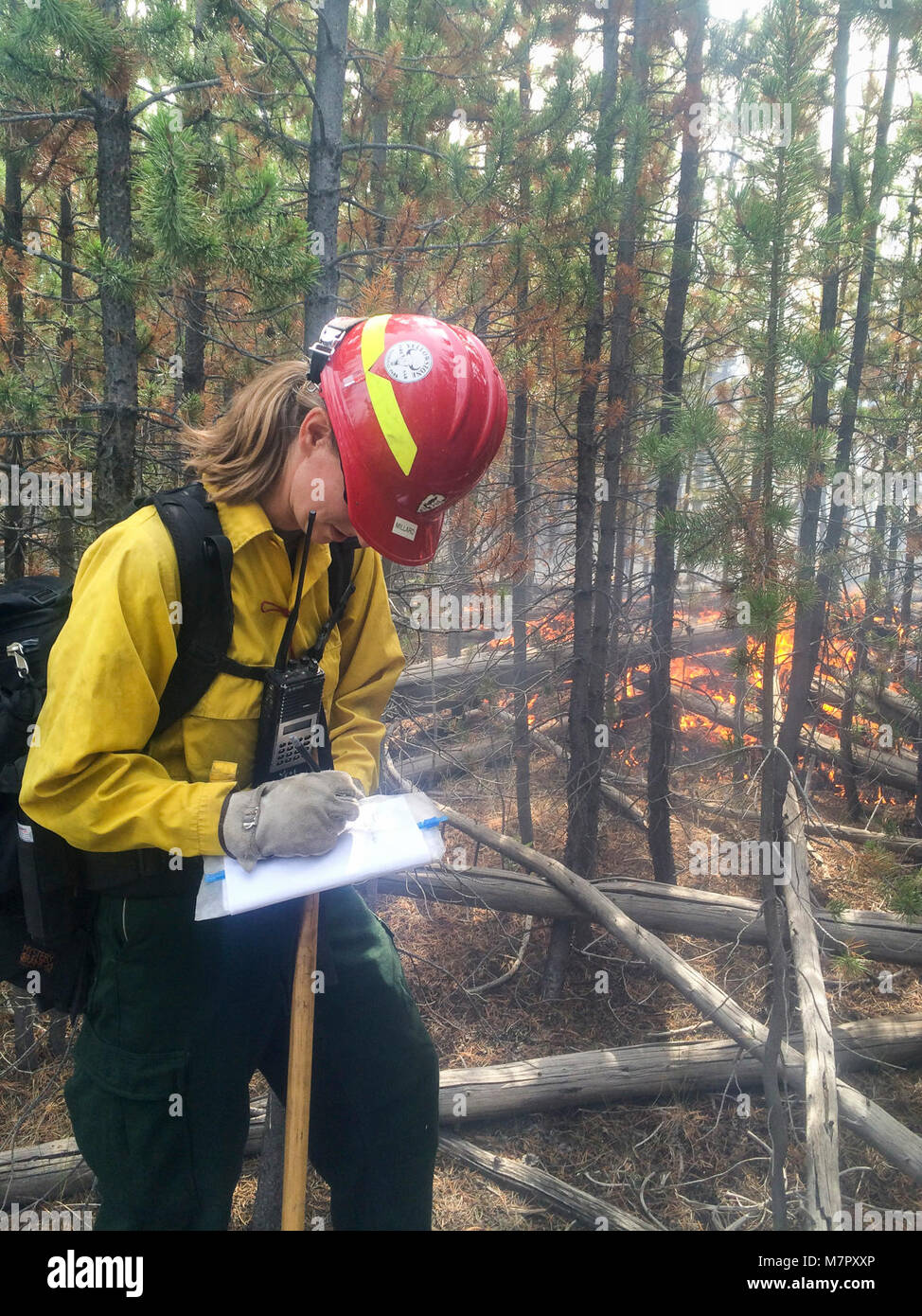 Fire effects crews monitoring the Maple Fire Stock Photo Alamy