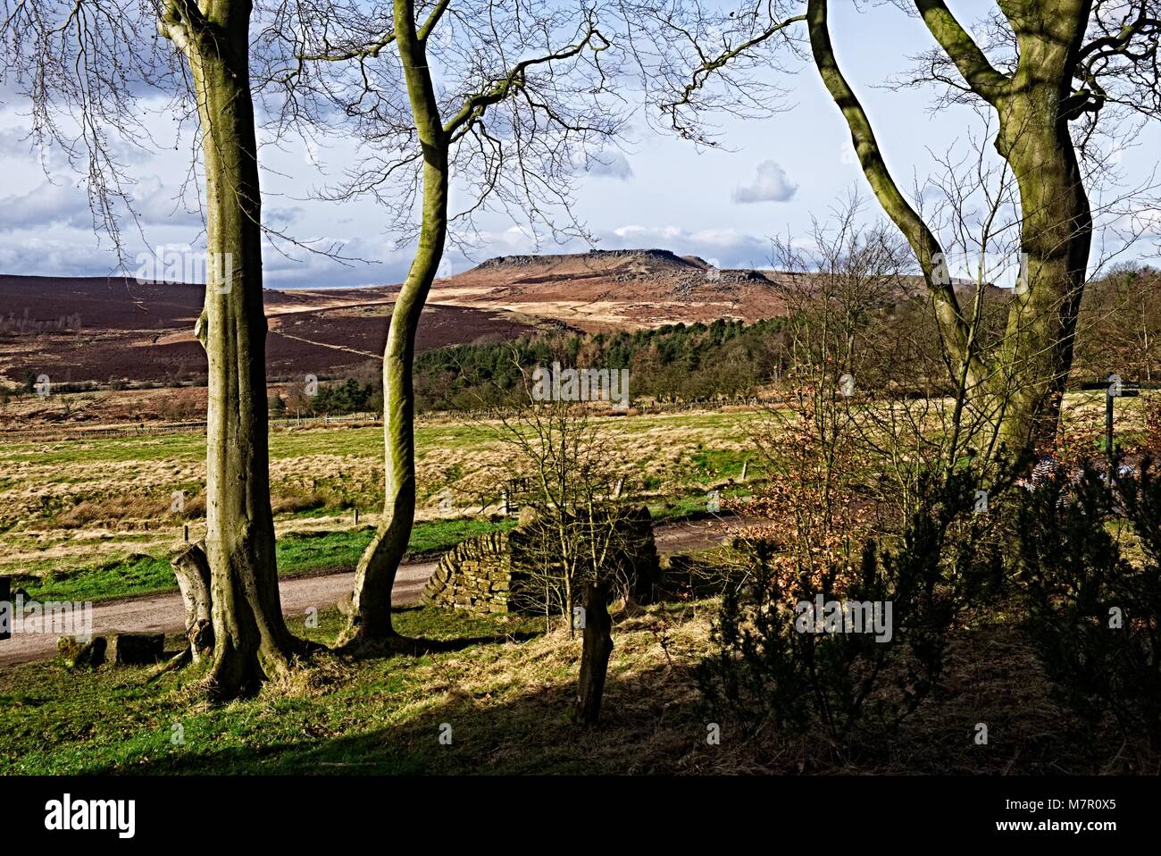 HIGGER TOR SEEN BETWEEN THE TREES AT LONGSHAW PEAK DISTRICT NATIONAL PARK Stock Photo