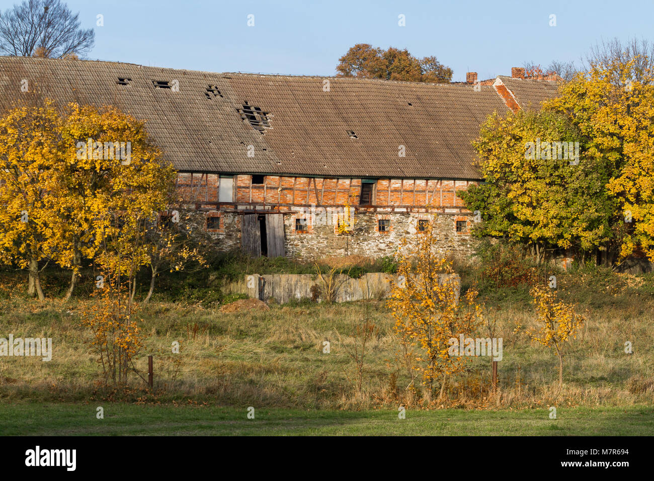 alte Scheune im Herbst Stock Photo