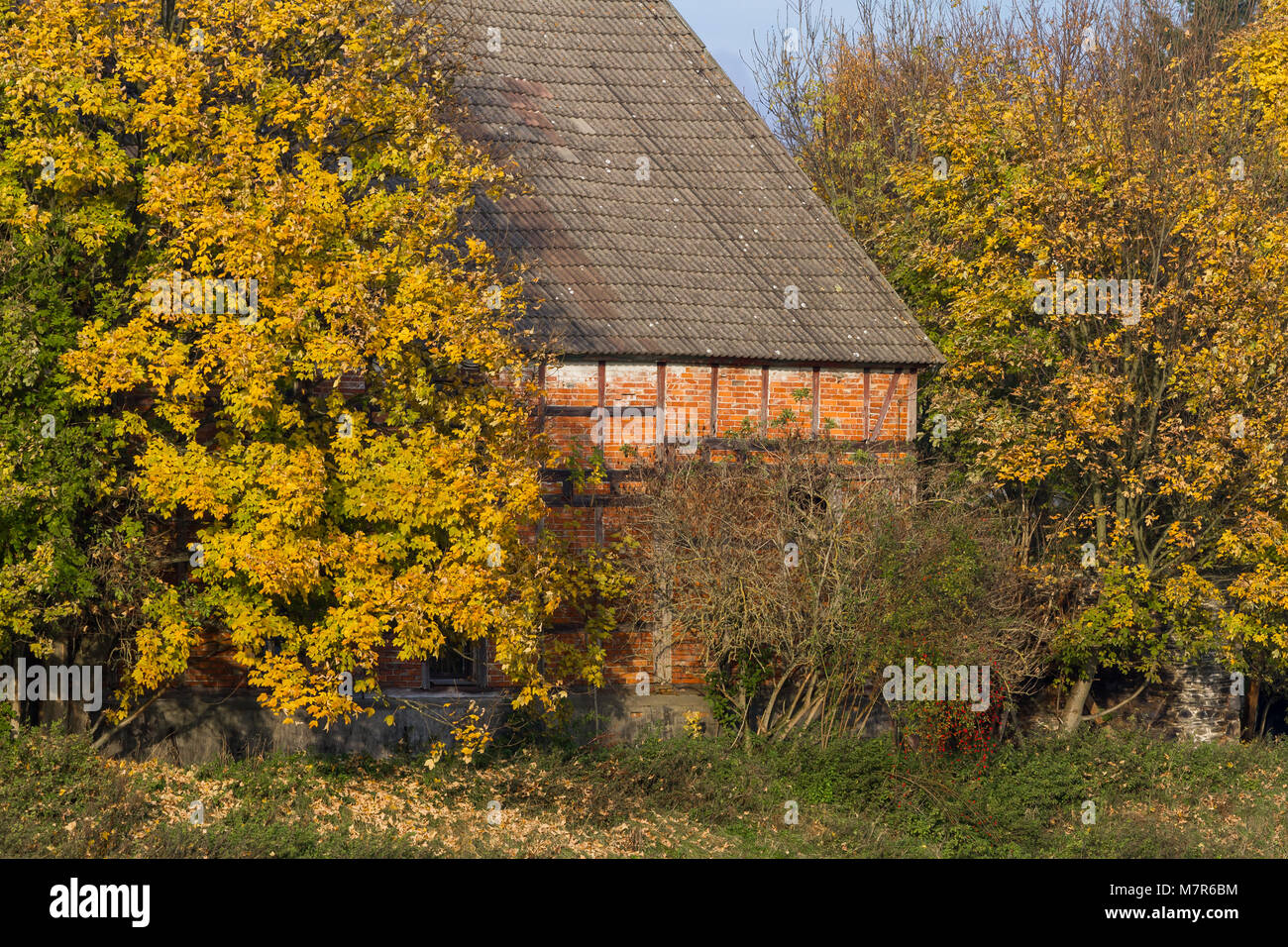 alte Scheune im Herbst Stock Photo