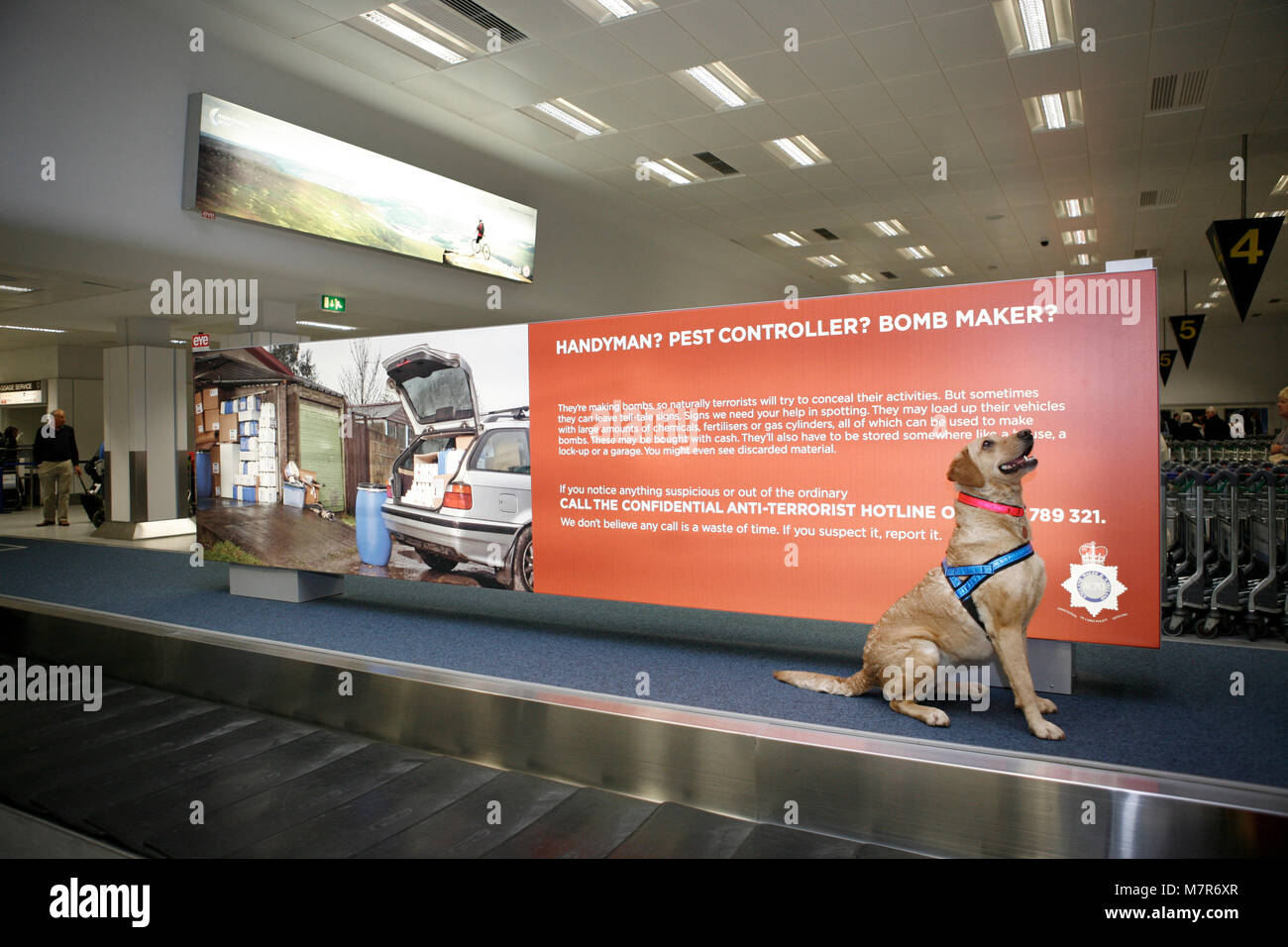 A drugs sniffer dog await a command from her handler. HM UK Border