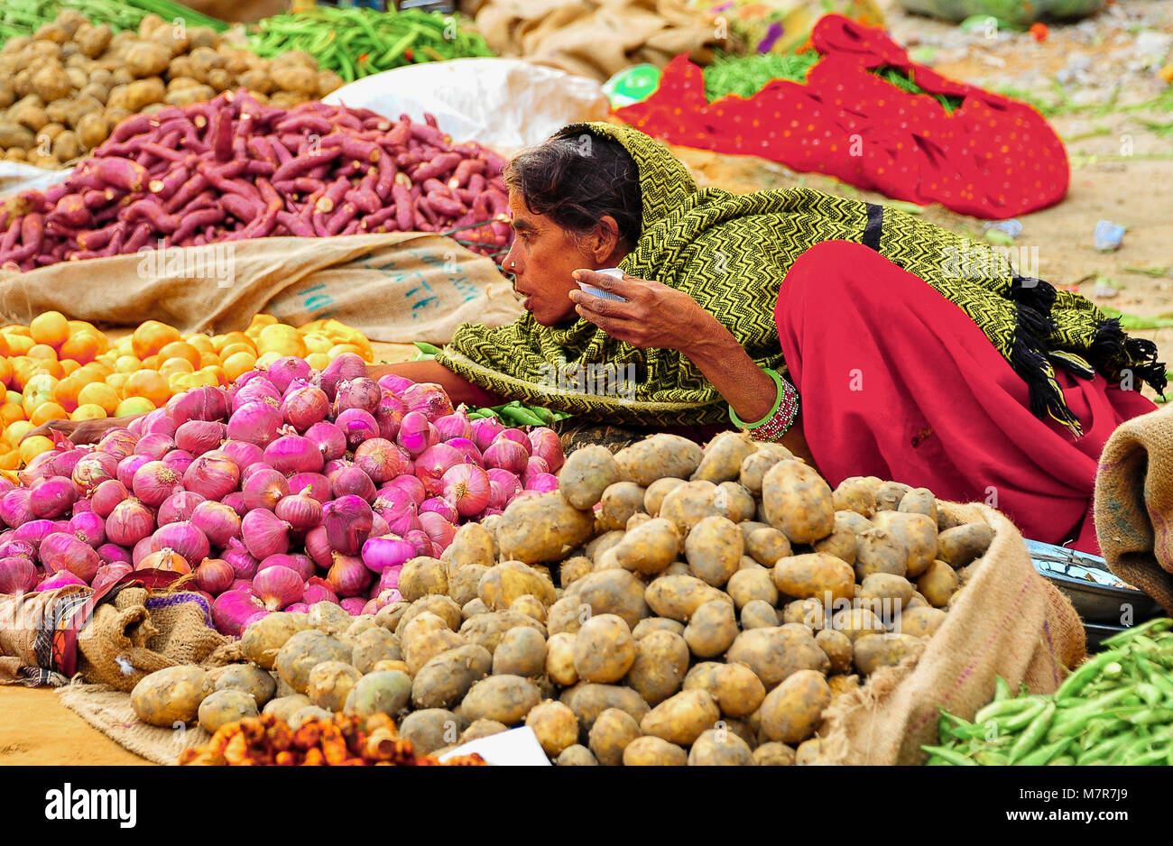 Jaipur, India Colourful array of fresh vegetables at a traditional