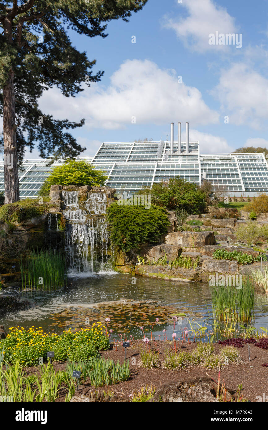 London, UK - April 18, 2014. Rock garden and Princess of Wales Conservatory in Kew Botanic Gardens. The gardens were founded in 1840. Stock Photo