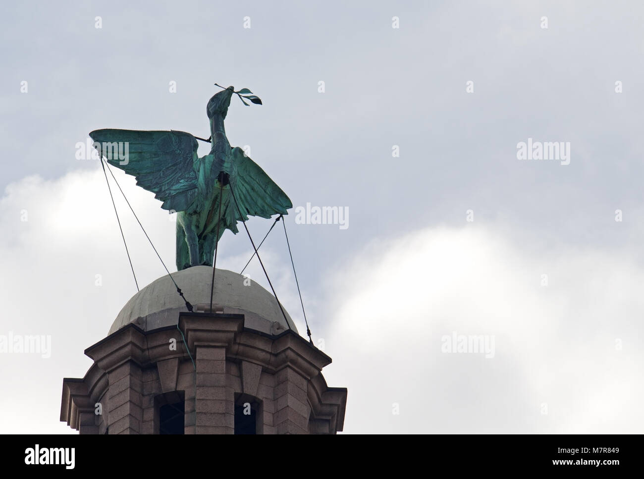 The Liver bird on top of the Royal Liver Buildings in Liverpool UK Stock Photo