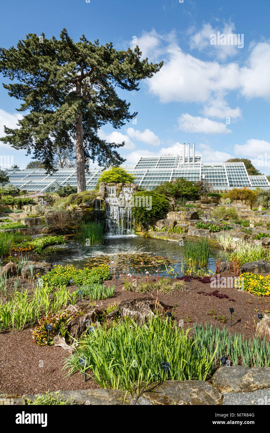 London, UK - April 18, 2014. Rock garden and Princess of Wales Conservatory in Kew Botanic Gardens. The gardens were founded in 1840. Stock Photo