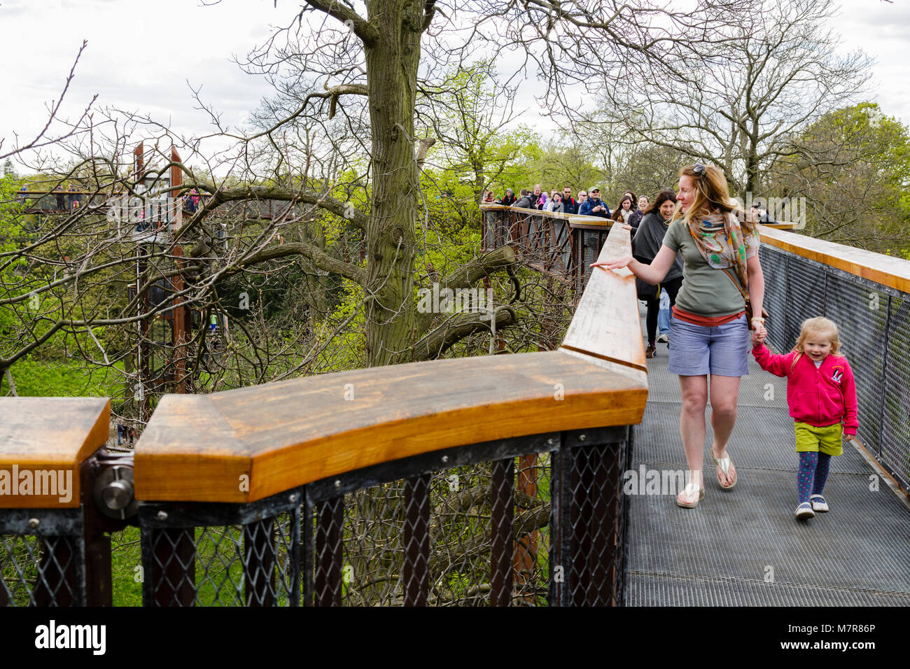 London, UK - April 18, 2014. Treetop Walkway at Kew Botanic Gardens. The walkway allows visitors to walk through 200 metres of forest canopy Stock Photo