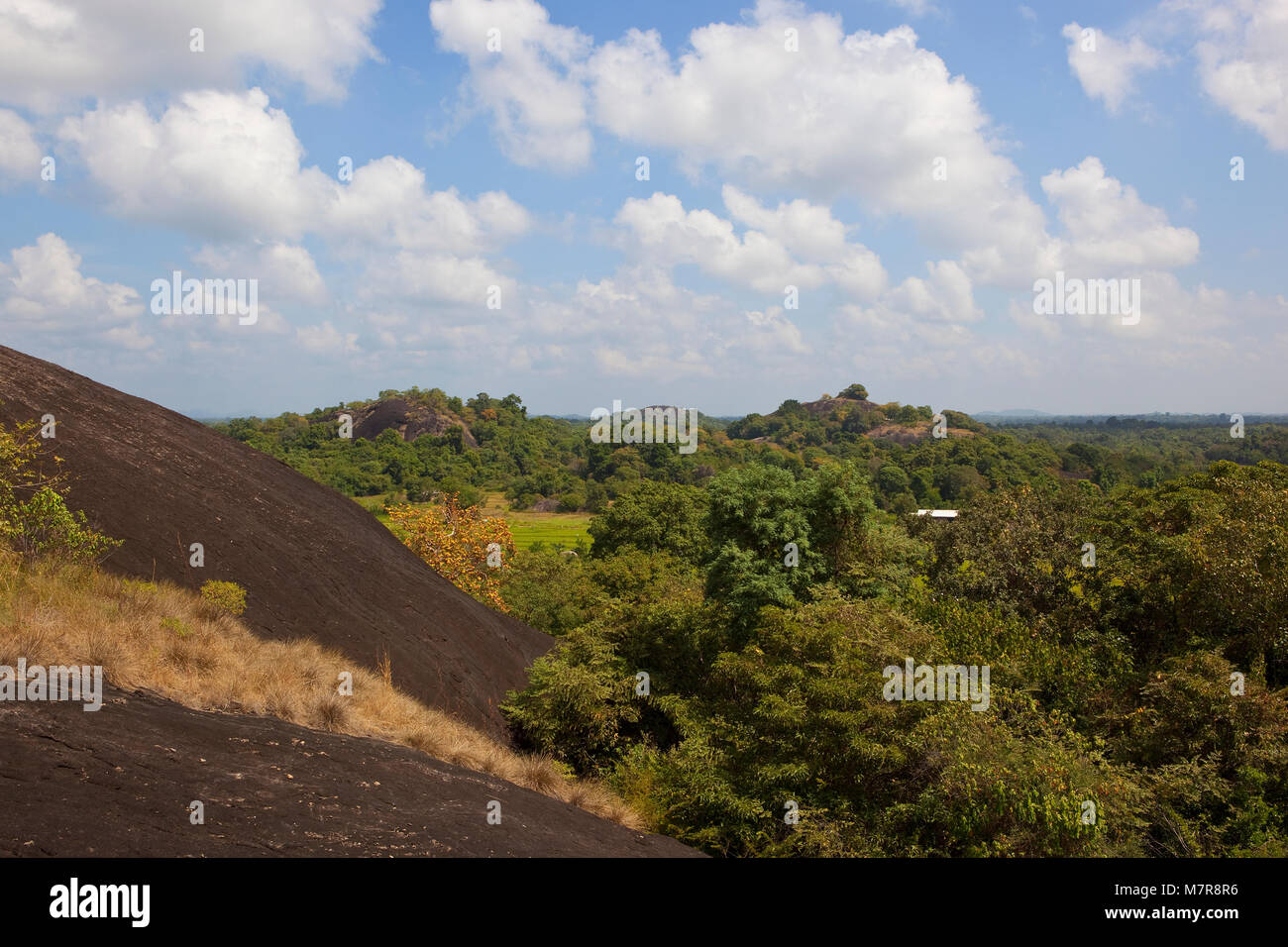 volcanic rock formation at wasgamuwa national park in sri lanka under a blue sky with fluffy white clouds Stock Photo
