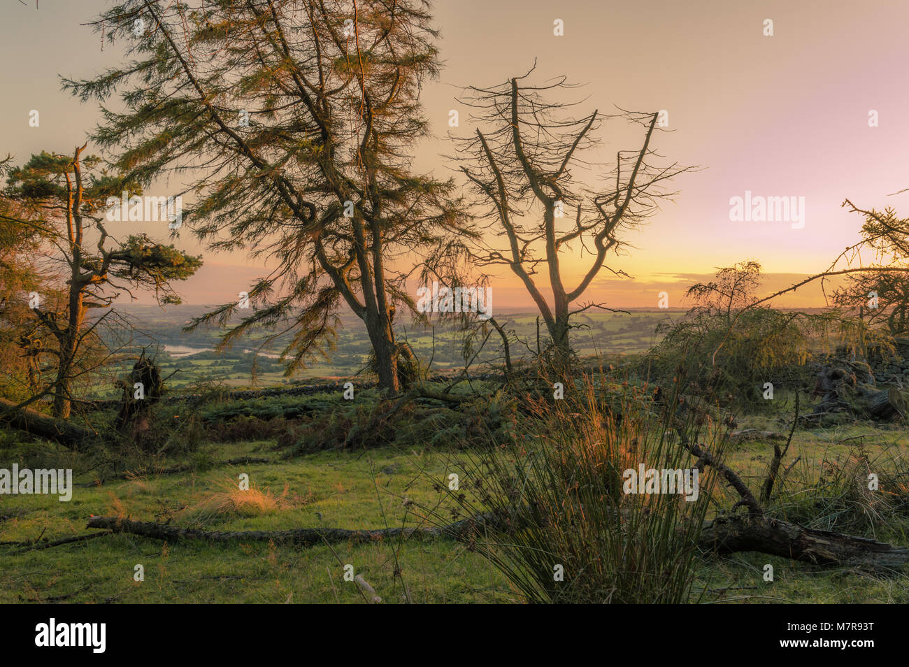The Roaches, Staffordshire, Peak District national Park, UK Stock Photo