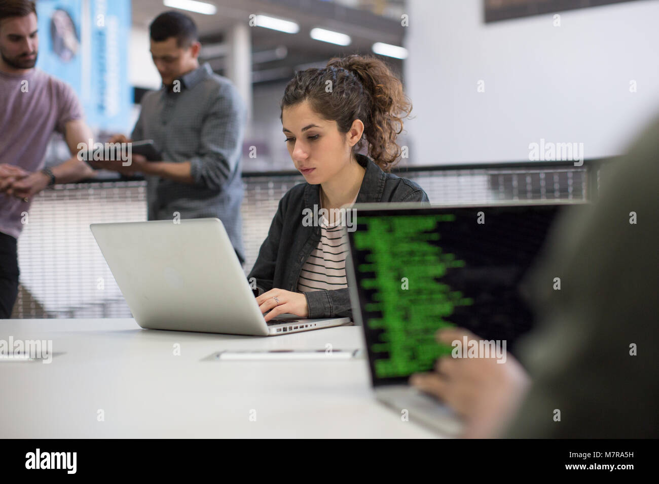 Coders working in an office Stock Photo