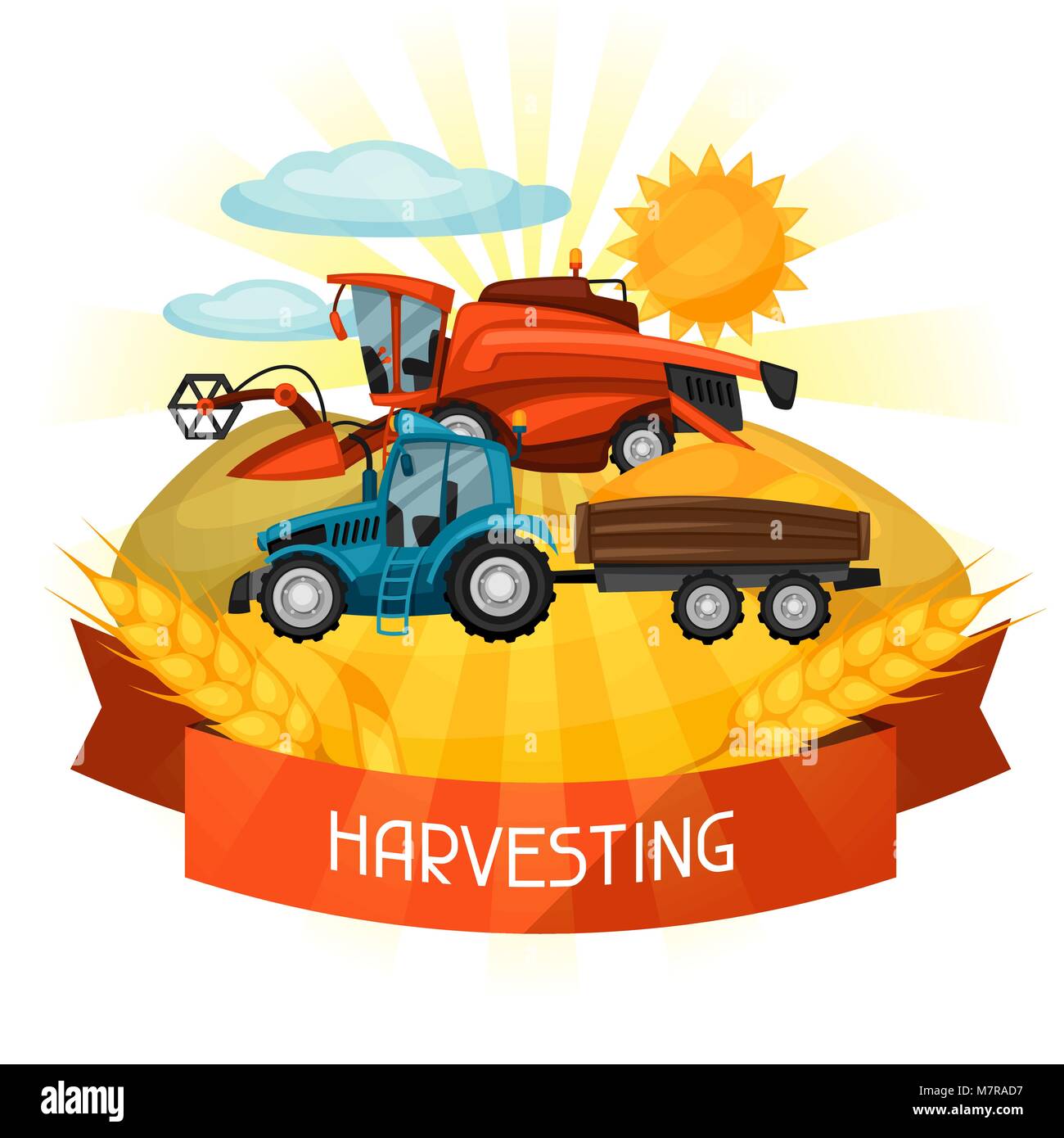 Combine harvester and tractor on wheat field. Agricultural illustration farm rural landscape Stock Vector