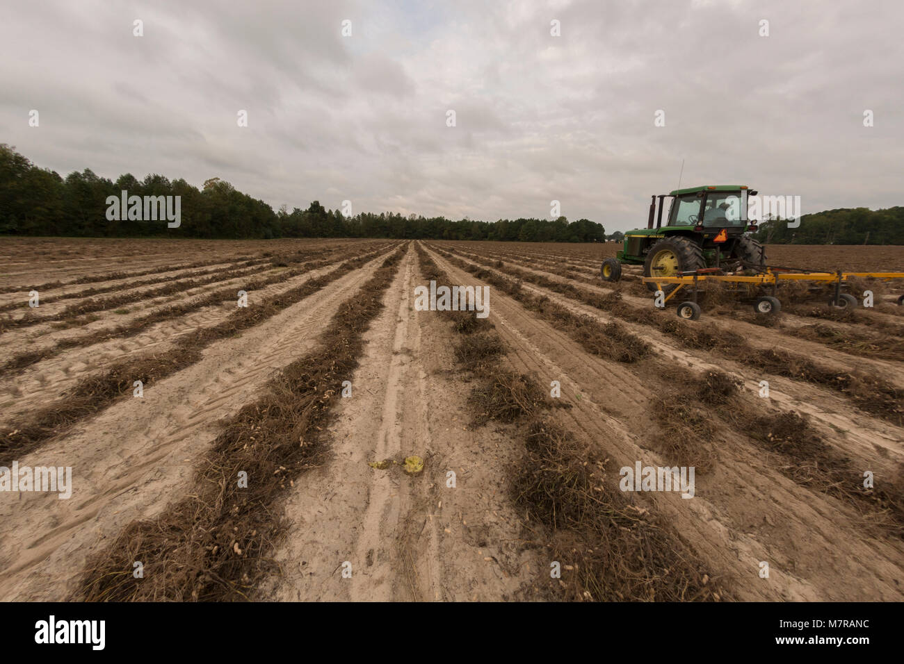 North Carolina farms Stock Photo - Alamy