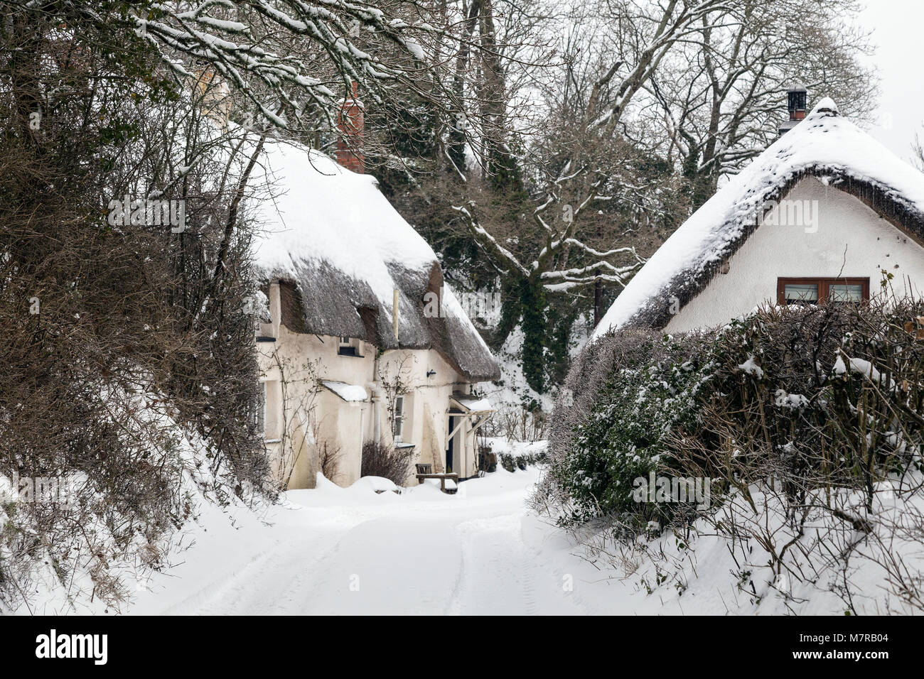 devon hamlet in the snow,devon cottage,A typical Devonshire cob and