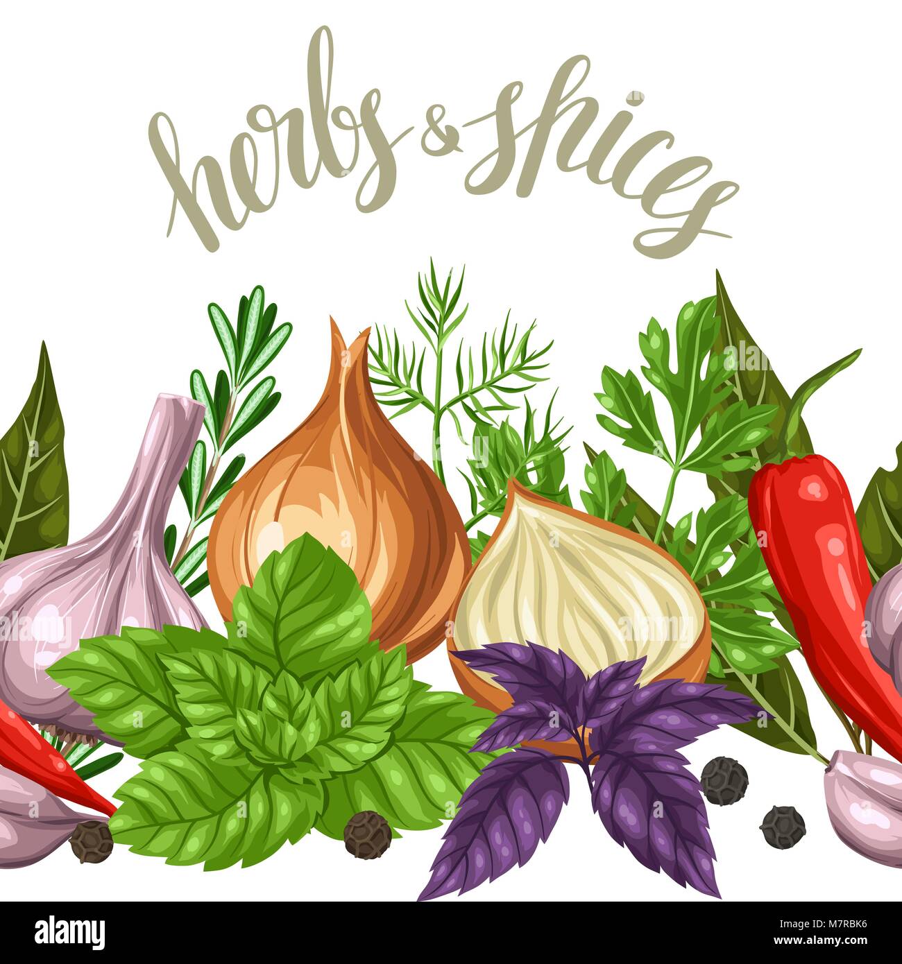 Seamless border with various herbs and spices Stock Vector Image & Art ...