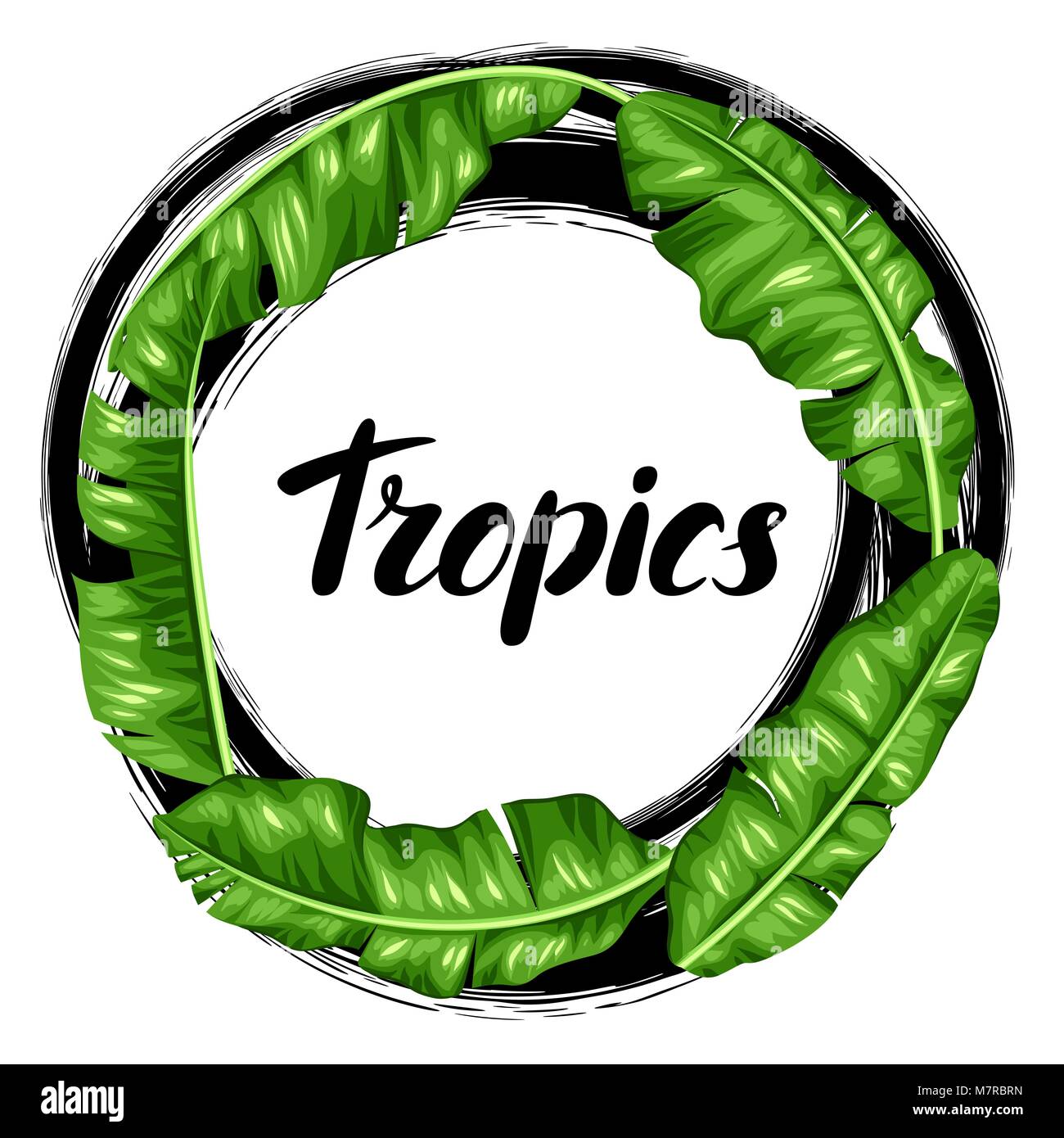 Frame with banana leaves. Image of decorative tropical foliage Stock