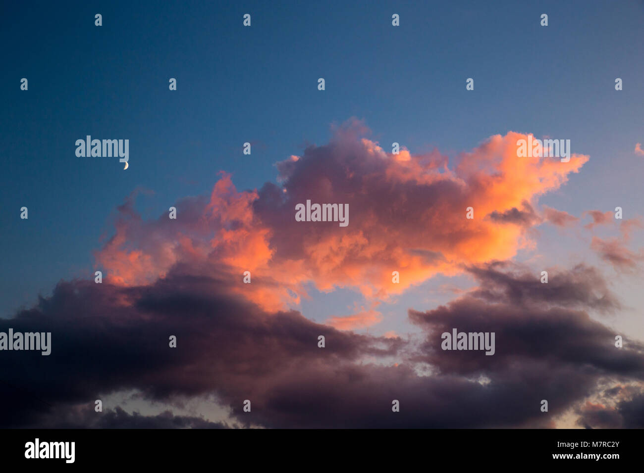 Sky with Moon and rose Clouds during Sunset. Stock Photo