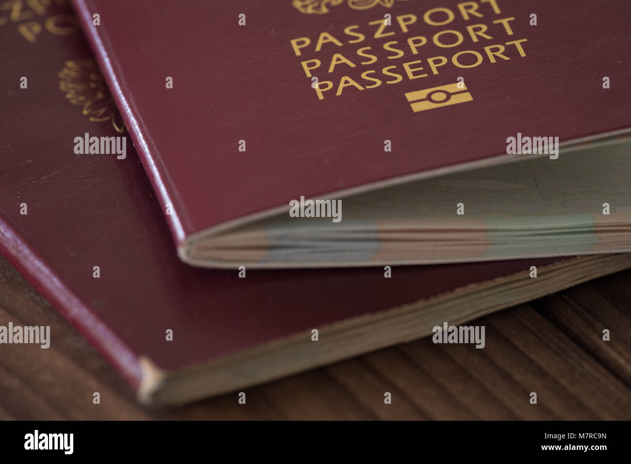Passport / European Union travel document Stock Photo Alamy
