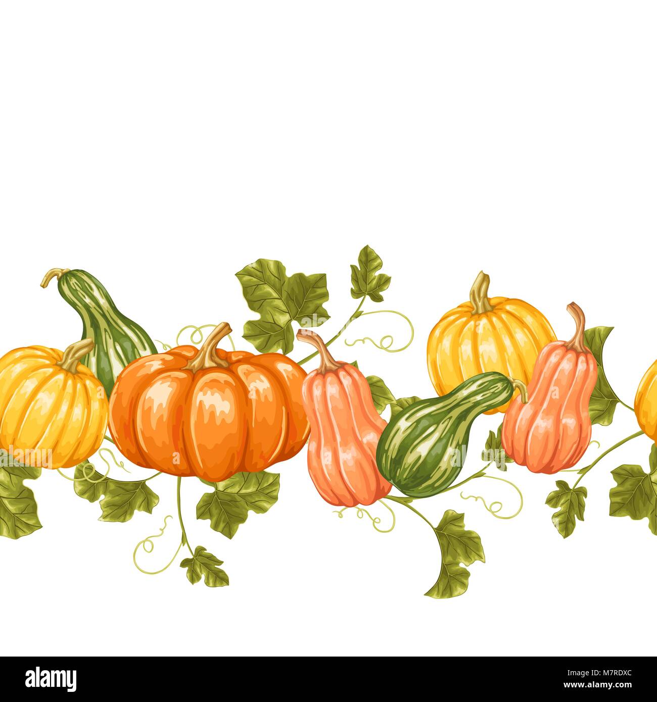 Seamless border with pumpkins. Decorative ornament from vegetables and ...