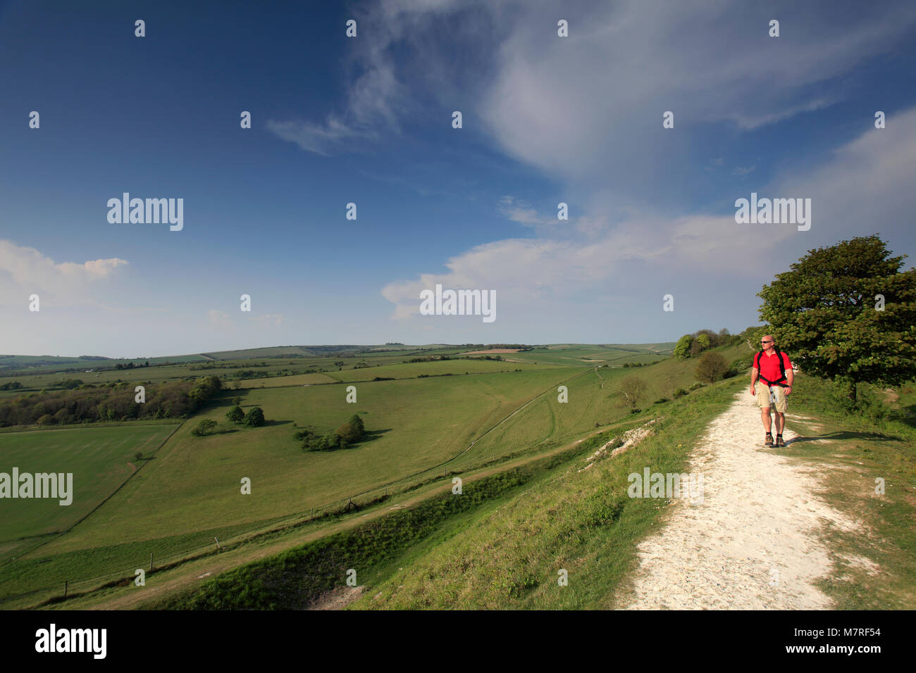 Walker at Cissbury Ring, near Findon village, South Downs National Park, Sussex, England, UK Stock Photo