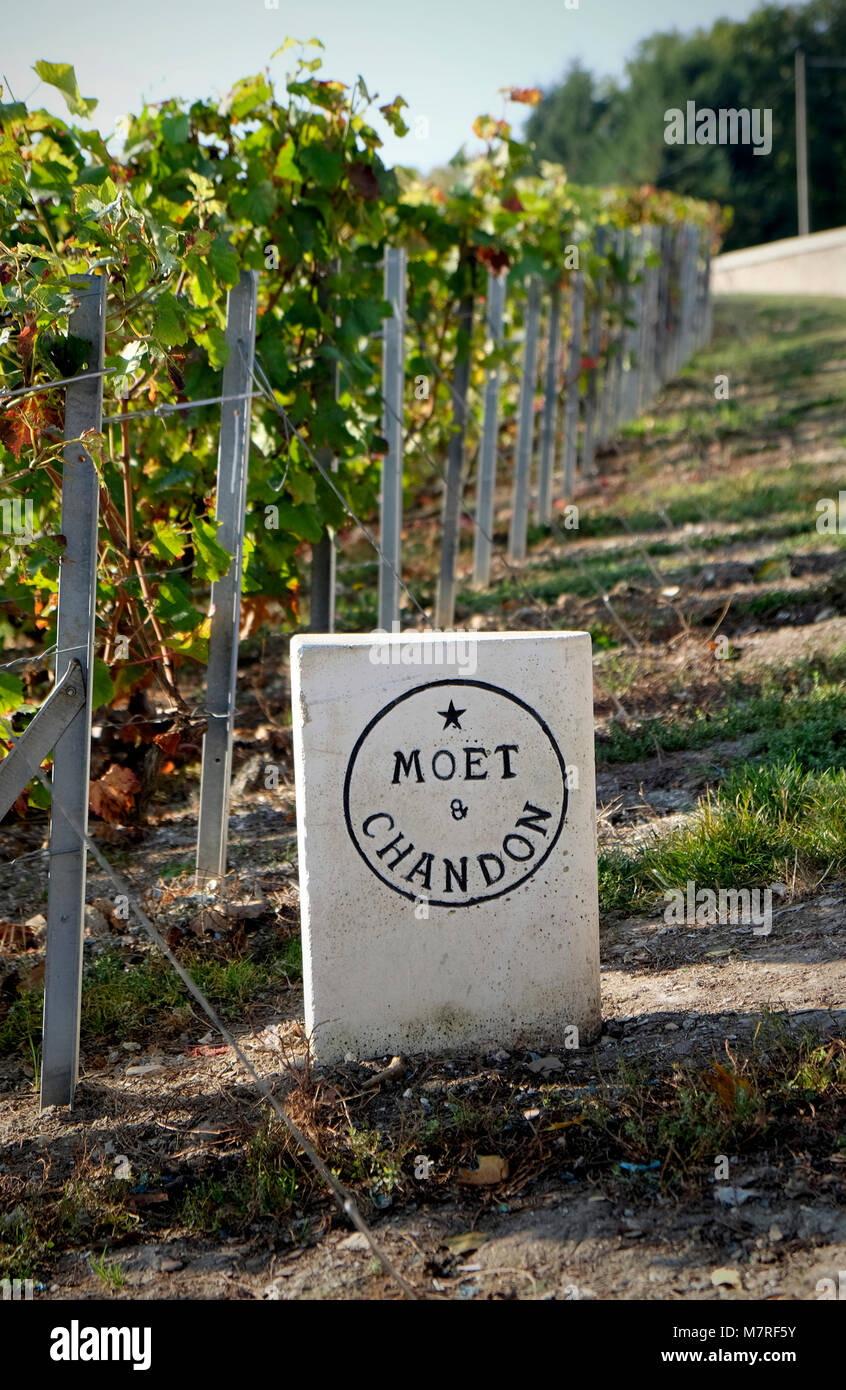 A stone sign denoting vines belonging to the Moet Chandon champagne house at Epernay, France Stock Photo