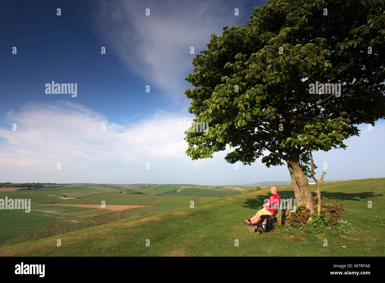 Walker at Cissbury Ring, near Findon village, South Downs National Park, Sussex, England, UK Stock Photo